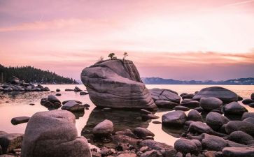 幽默爸爸作文8篇