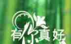 党,有你真好作文推荐5篇