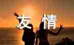 友情的作文300字通用6篇