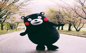 读书有趣的事作文5篇