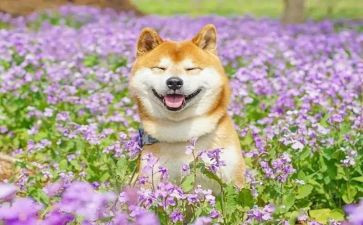有趣的事作文400字最新6篇