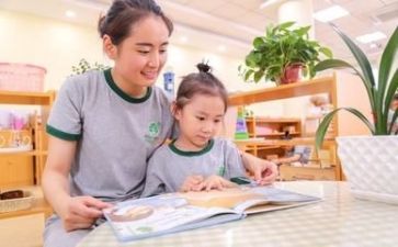 幼师年工作总结个人总结推荐6篇