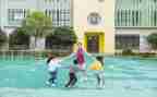 幼师科总结报告最新6篇