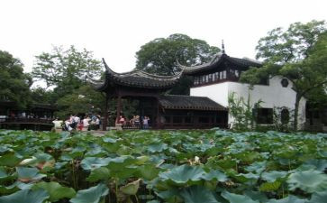 元旦游园活动总结7篇