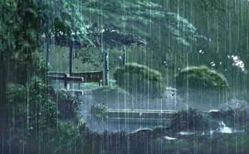 我对雨的作文8篇