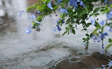 英雄雨来的读后感200字6篇