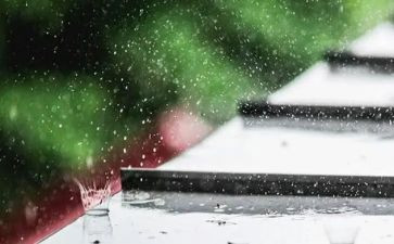 写雨天的作文模板5篇
