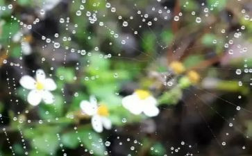 《雷雨》读书心得模板6篇