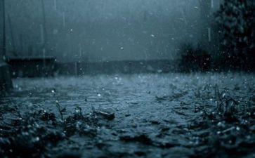 雨读后感200字优质8篇