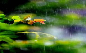 幼儿园小班《下雨了》教案7篇