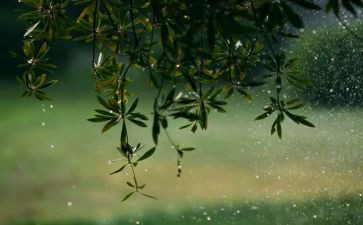 风和雨大班音乐教案6篇