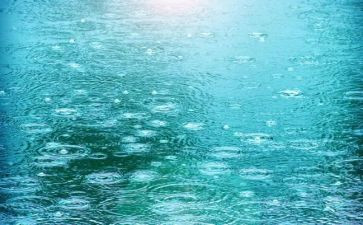 下春雨了诗歌教案7篇