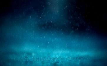 描写雨的600字作文模板5篇