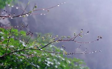 关于雨的成长作文参考8篇