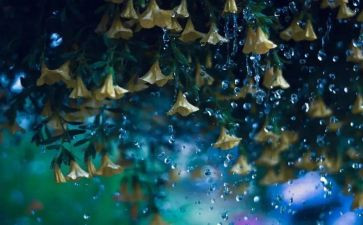 小雪花和小雨滴中班音乐教案7篇