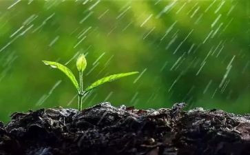 小班音乐游戏大雨小雨教案6篇