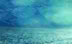 描写雨的600字作文最新6篇