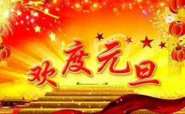 幼儿园中班元旦活动总结5篇