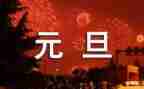 大班元旦节主题活动方案5篇