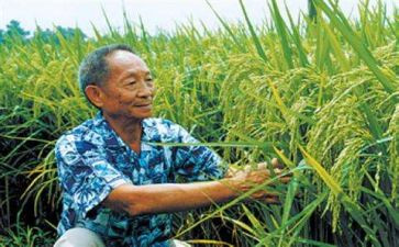 袁隆平先进事迹心得体会8篇
