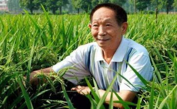 袁隆平高中作文5篇