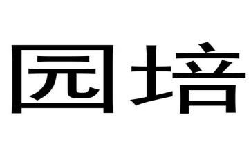 2024年幼儿园培训心得体会优质7篇