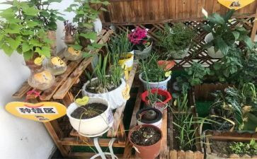 幼儿园培训家长心得体会6篇