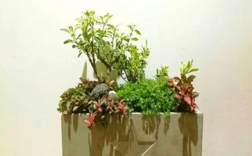 校园艺术节体会心得体会7篇
