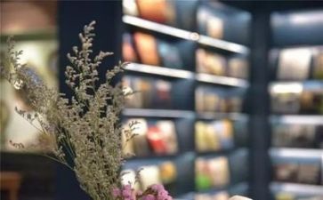 阅读给教师的建议的心得6篇