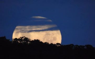 画月亮大班语言教案通用7篇