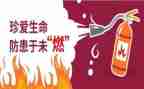 小学预防校园欺凌教案5篇