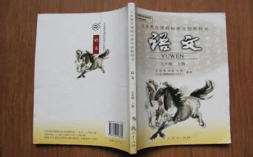 教师语文教学心得模板8篇