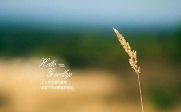 再见2024你好2024作文600字8篇