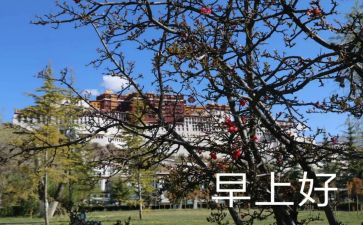 早临床总结报告5篇
