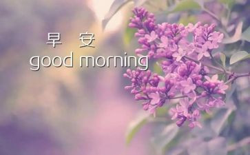 早教师培训心得优质6篇