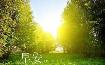 早教师心得心得5篇