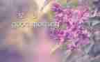 早教教师心得7篇