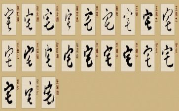 我的宅生活作文800字优质8篇
