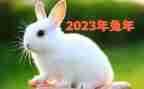 回顾202展望2023作文优秀6篇