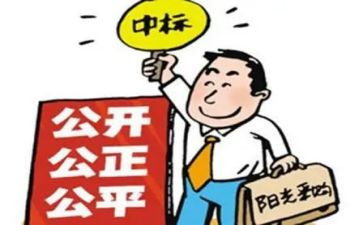 招标师工作计划6篇
