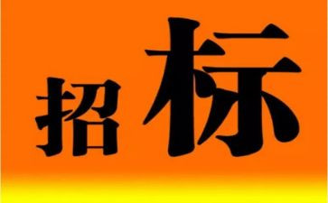 招标工作年度工作总结8篇