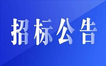 招标个人总结8篇