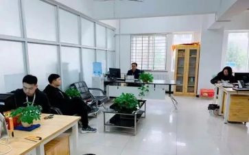 招就处工作计划和总结最新7篇