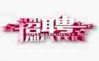 招人力工作计划模板5篇