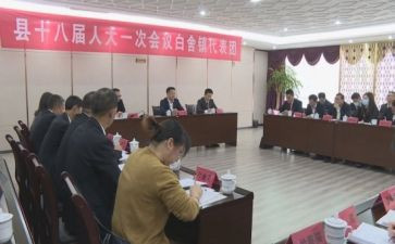 镇代表总结报告7篇