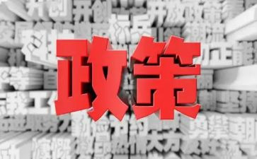 小学教师双减政策心得5篇