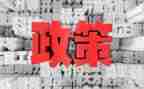 小学教师双减政策心得5篇