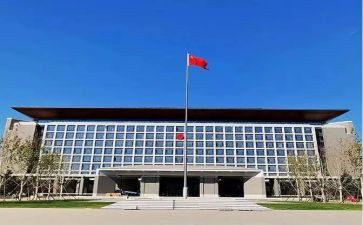 政府工作的工作总结最新6篇