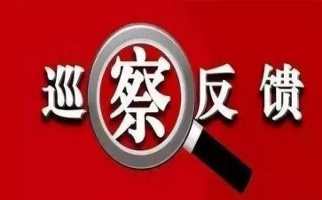 对标整改报告6篇