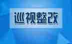 316问题整改报告8篇